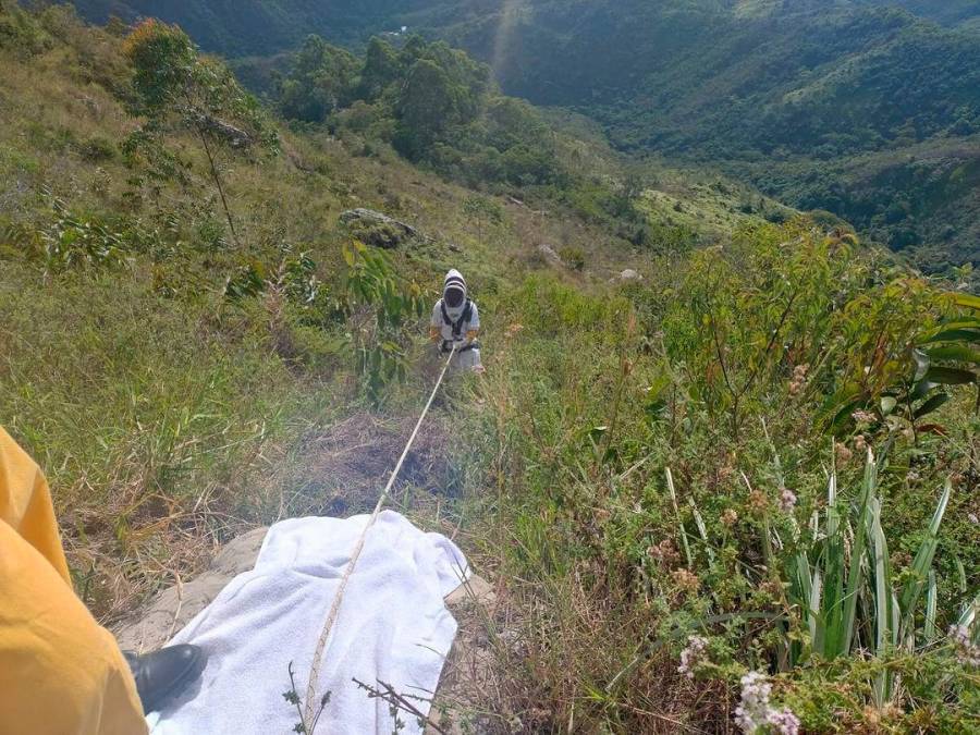 Enjambre de abejas hizo que una mujer se lanzara a un barranco en Piedecuesta