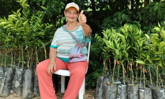 Abren convocatorios para que campesinos accedan a fertilizantes