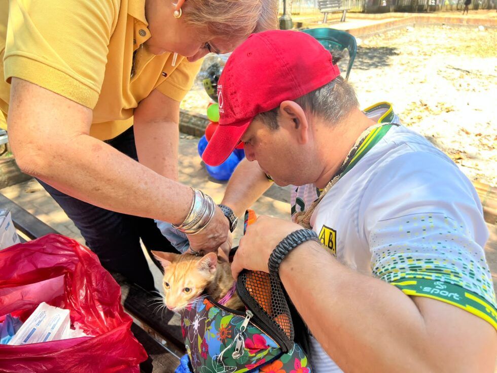 Este domingo podrá vacunar a sus mascotas contra la rabia