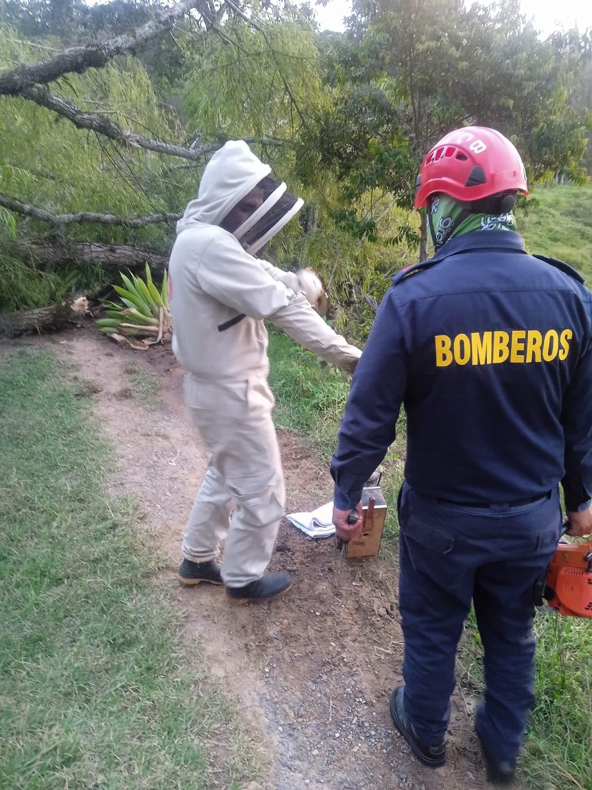 Colmena de abejas invadió  una vivienda en Barbosa