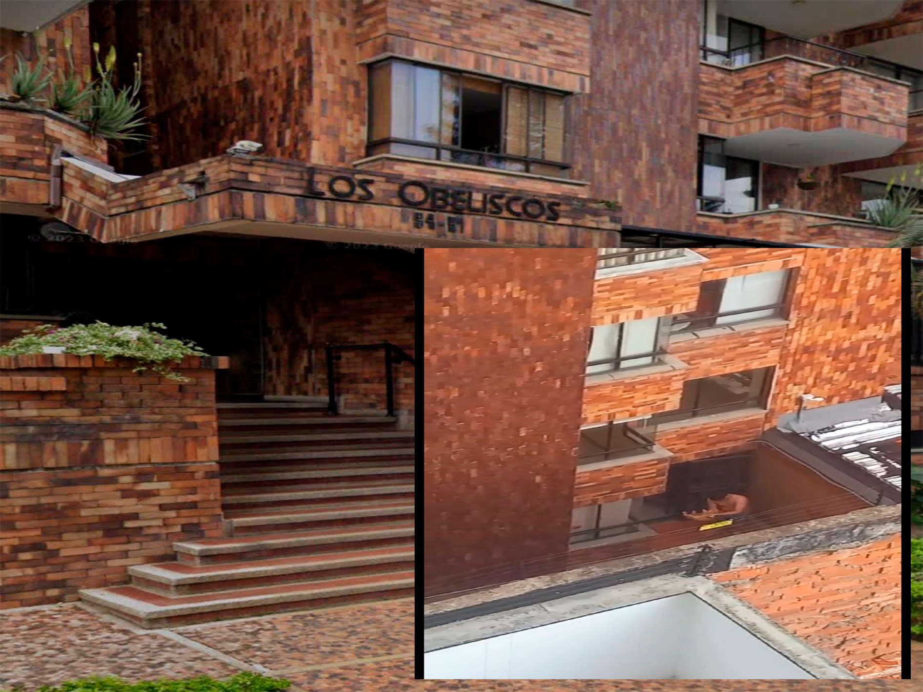 Infeliz propinó golpiza a  perrito en Bucaramanga