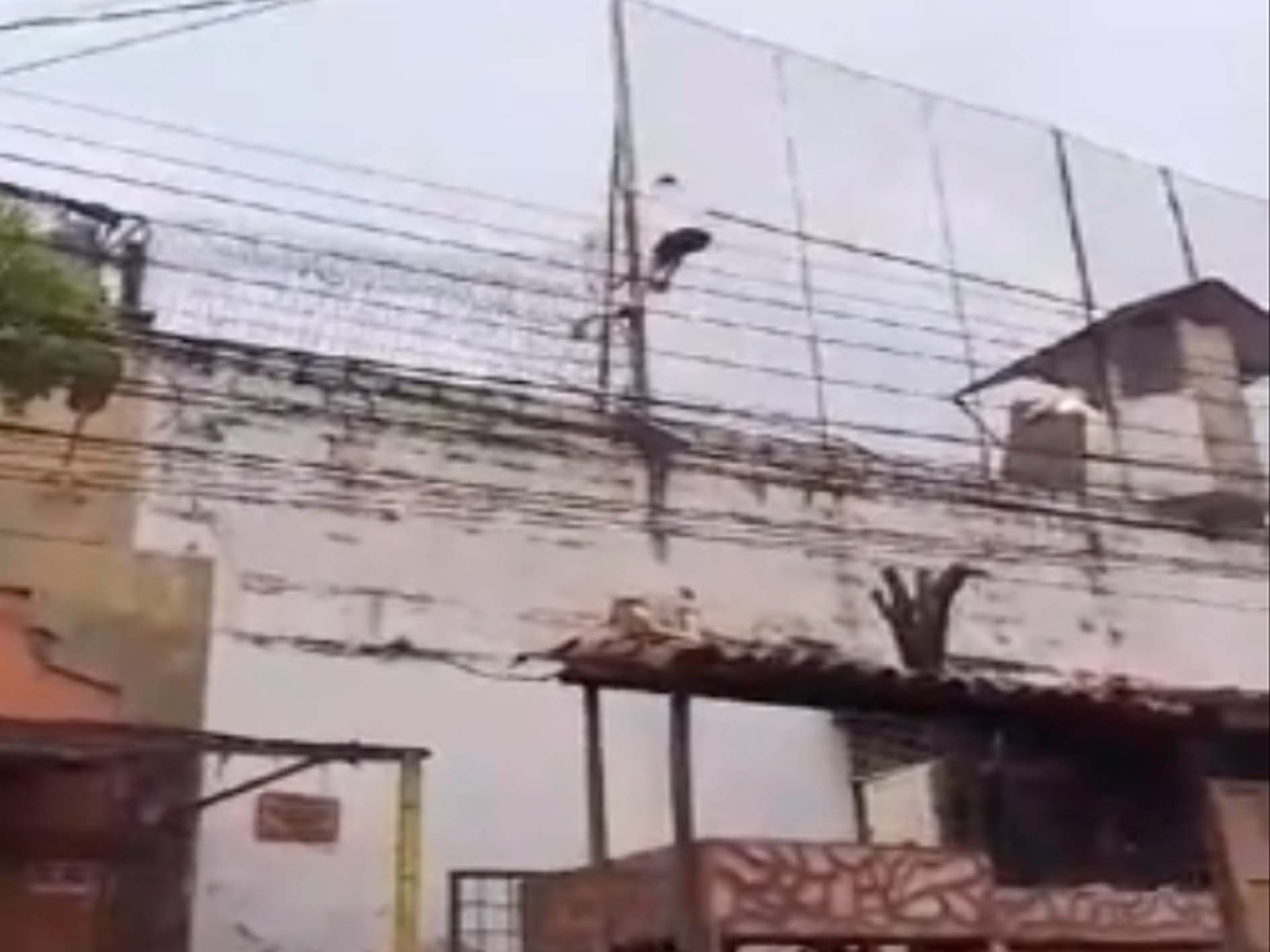 Centro de detención de menores en Piedecuesta se convirtió en caos tras fuga