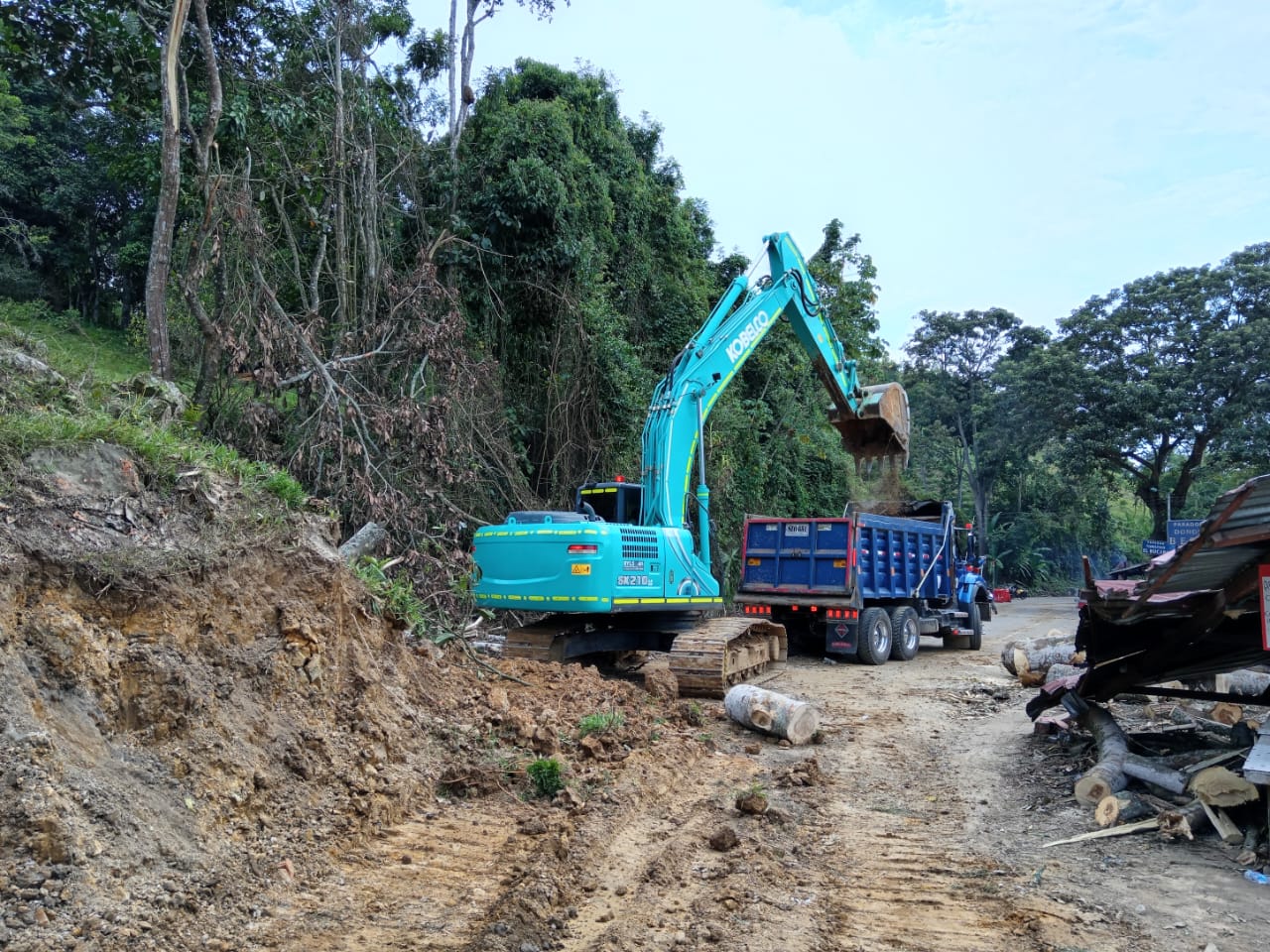 En tres semanas se daría el paso para vehículos livianos