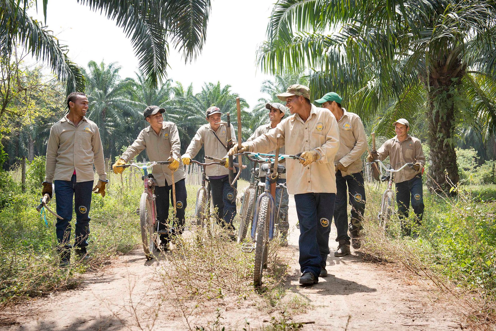 Palmicultura colombiana transforma calidad de vida en las comunidades