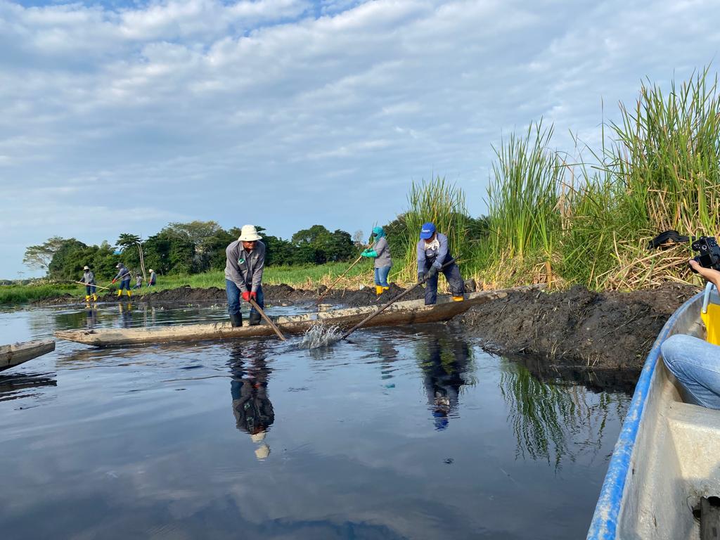 Cuidado de recursos naturales embellece el Medio Ambiente