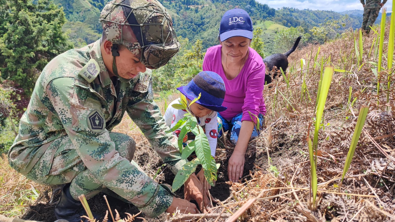 Naturaleza, amor patrio y seguridad