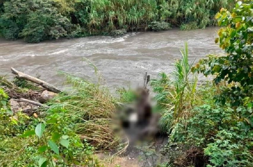 Cadaver apareció en inmediaciones de la UIS Barbosa