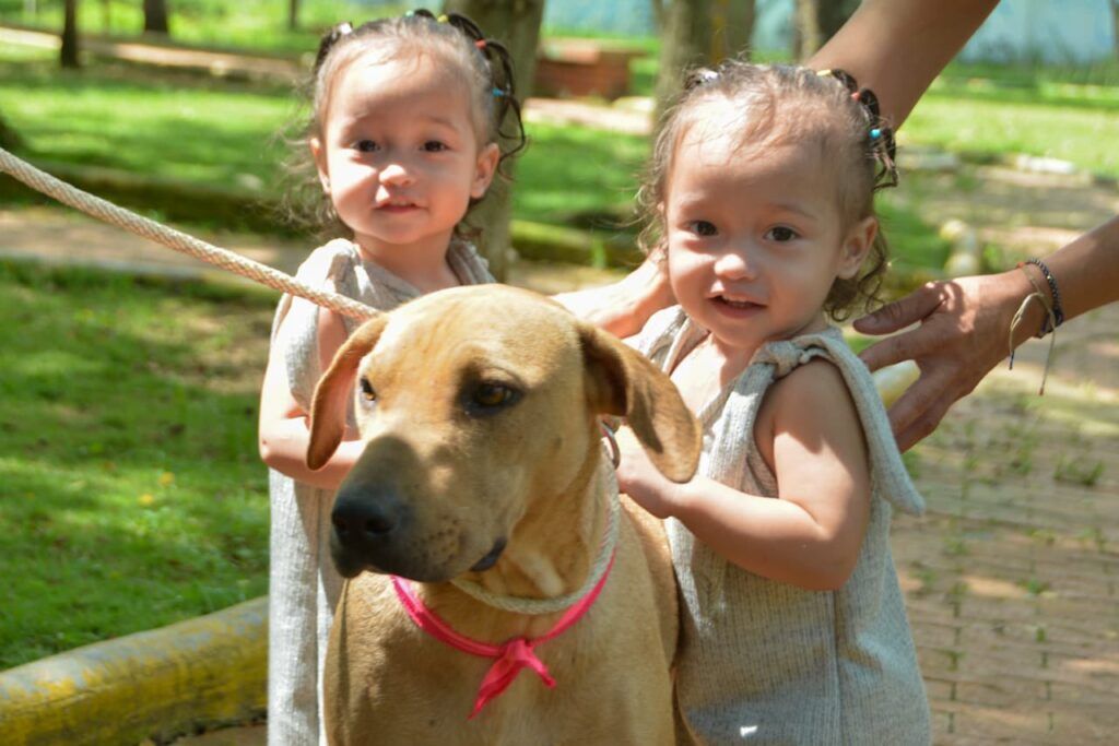 Vuelven las jornadas de adopción en la ciudad