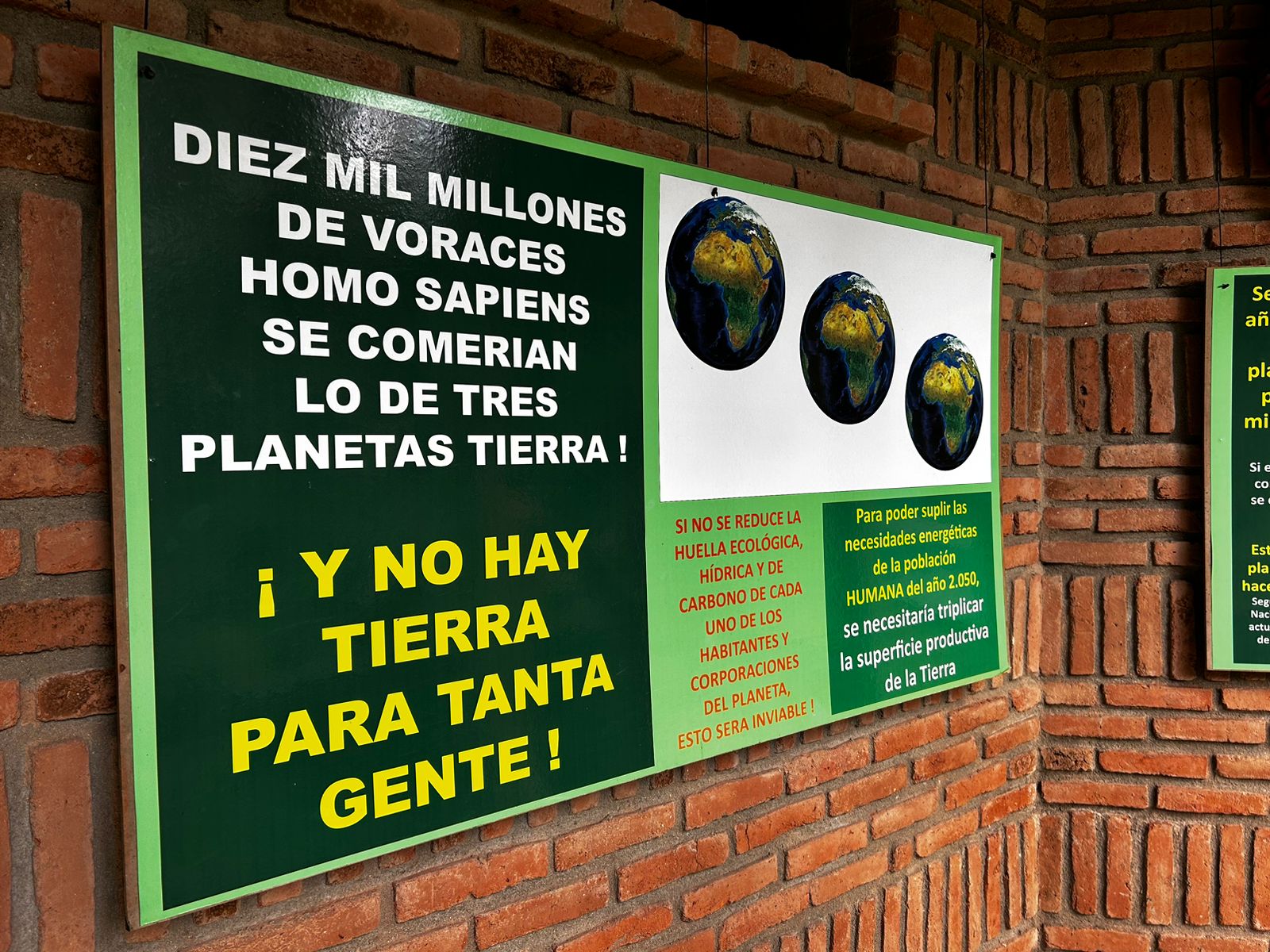 MUCAF. El Museo que día a día lucha por el cuidado del cambio climático