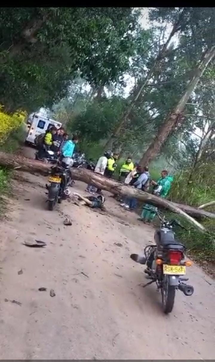 Árbol ocasionó tragedia a motorizado en Los Santos