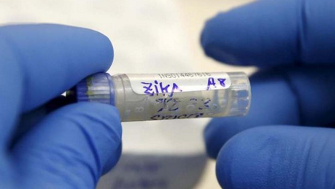 Mujeres aceptaron ser infectadas con el virus del Zika para el desarrollo de la vacuna