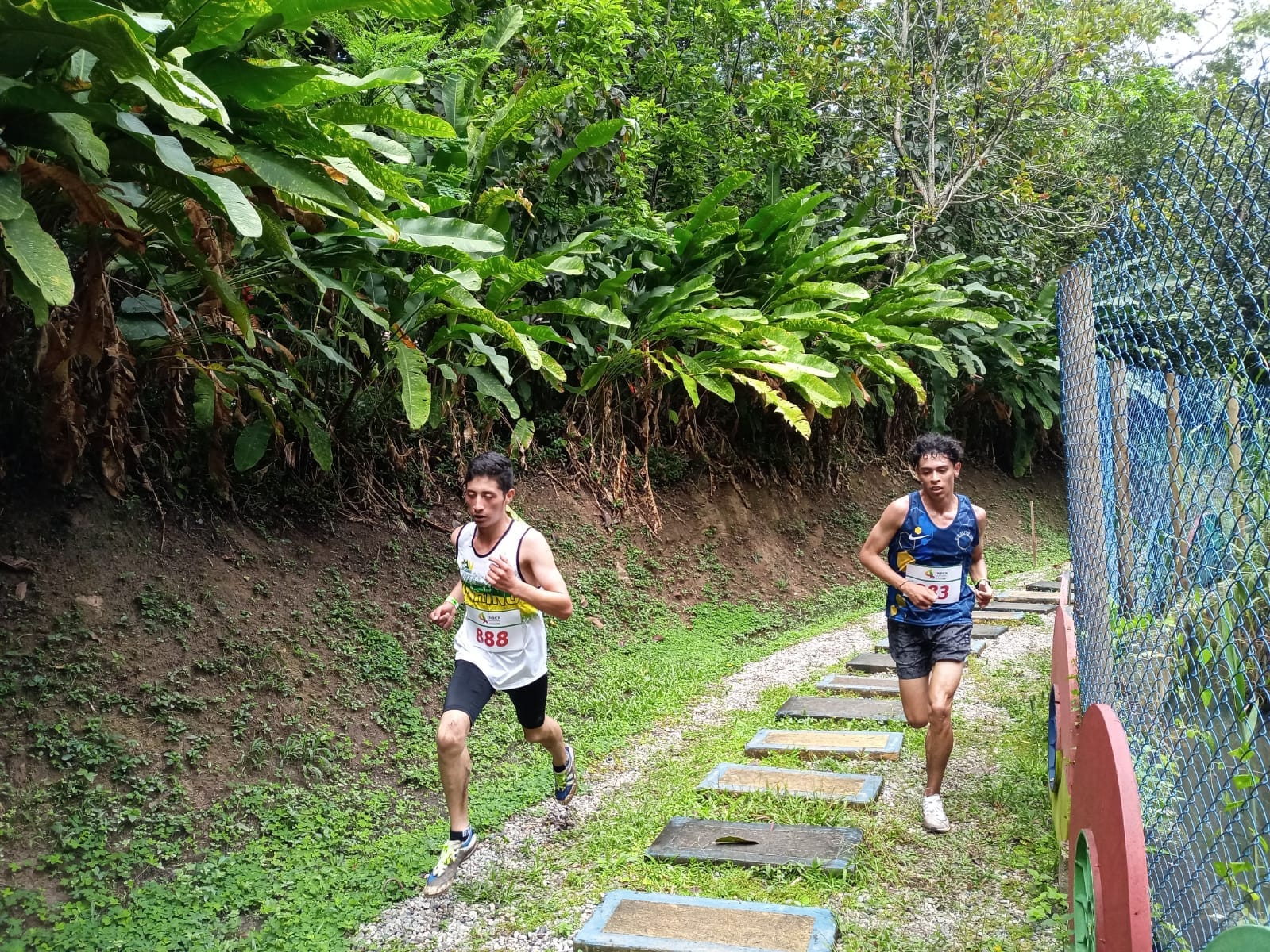 Bucaramanga sede del próximo Nacional de Cross Country