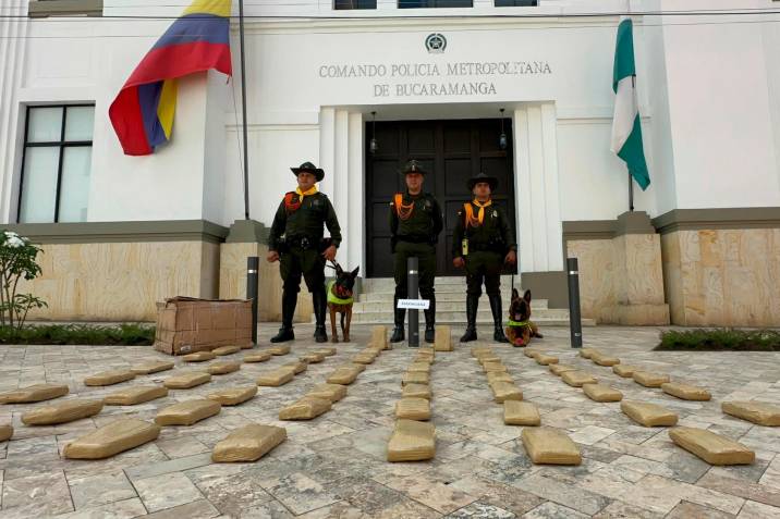 Perros entrenados lograron millonaria incautación de narco encomienda