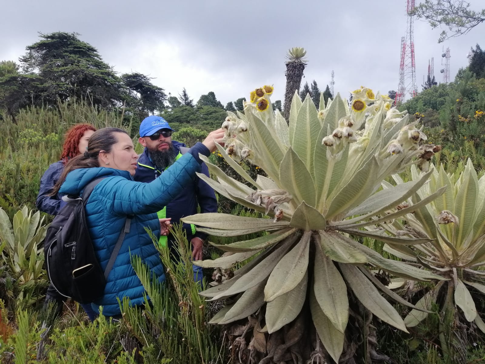 Multinacional se le midió a tarea de preservar ecosistemas de Santander