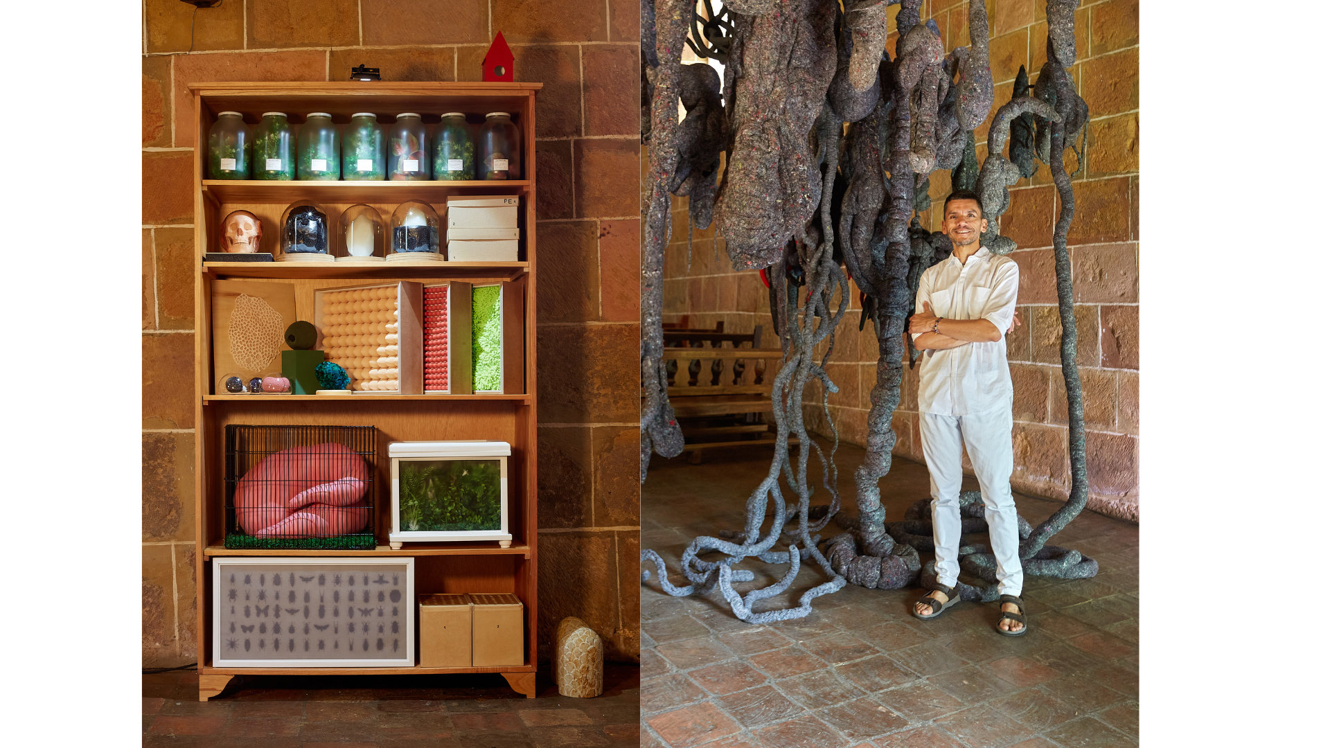 La dualidad de la naturaleza en la mente de Fredy Saúl