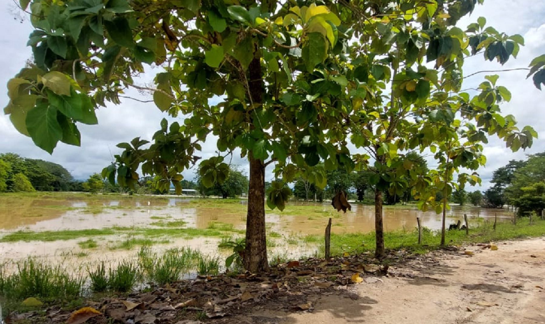 Ríos Cáchira y Lebrija se metieron al pueblo