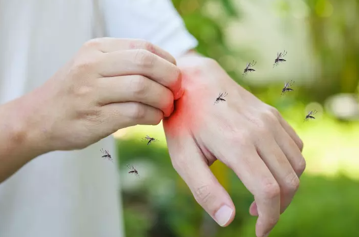 En aumento contagios por dengue, casos superan los 2.700