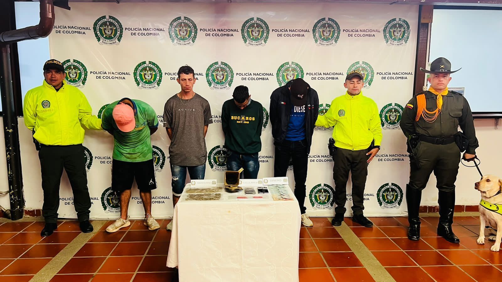 Tumbaron a las ‘palmeras’ que tenían narco negocio en Floridablanca