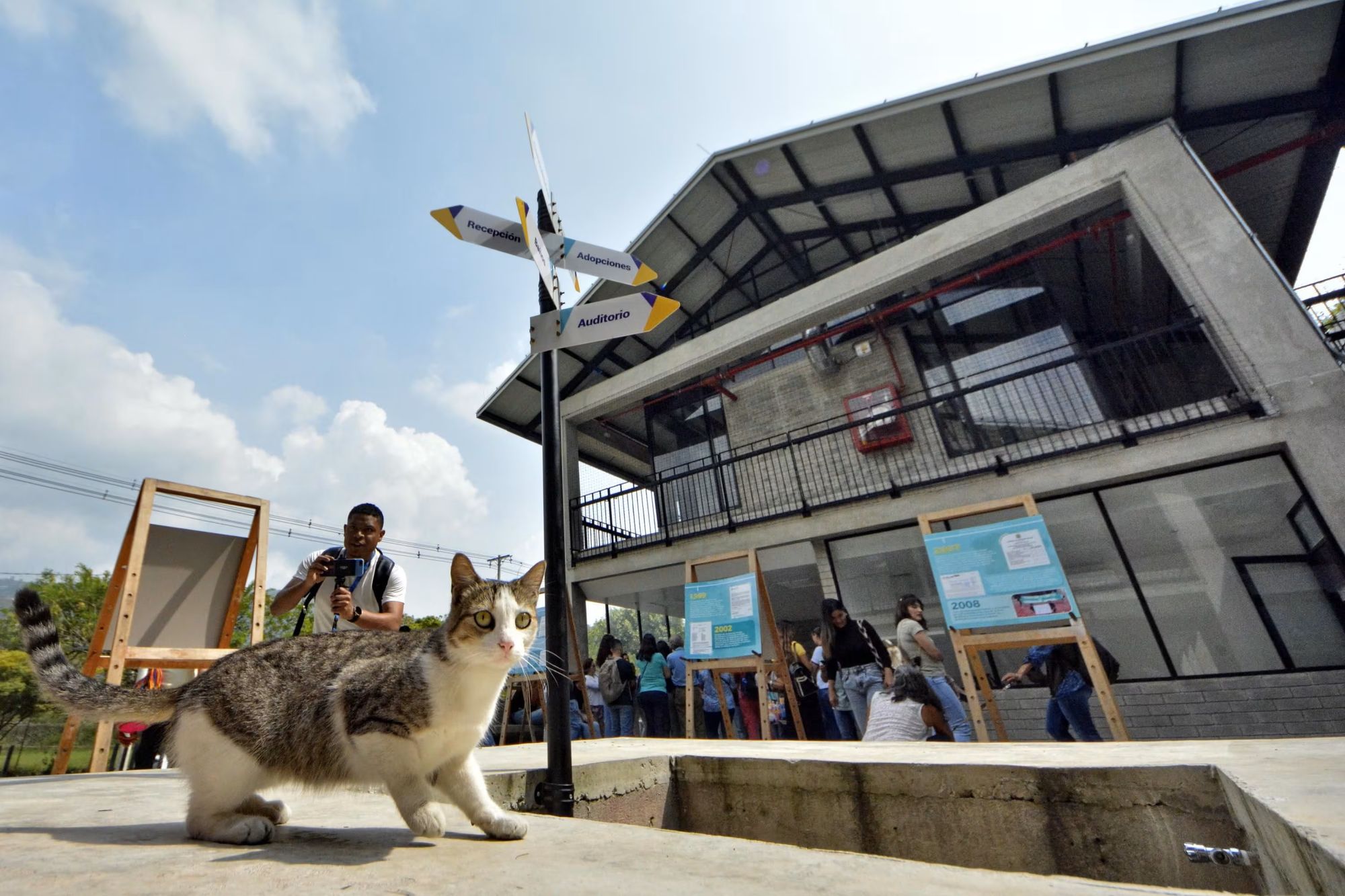 Congreso de la república quieren por medio de una ley obligar a la creación de centro de bienestar animal