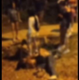 Niñas estarían armando peleas callejeras para viralizarse en redes sociales