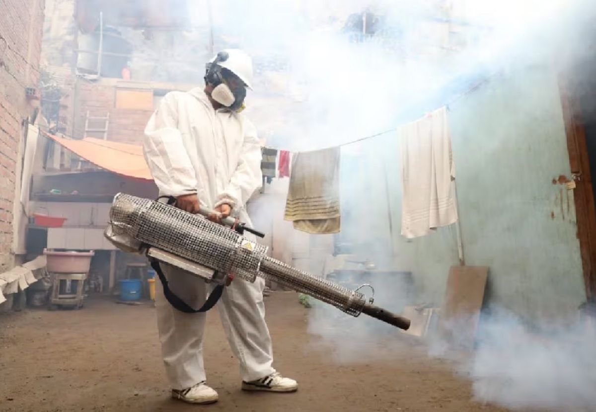 Leve baja en los casos de dengue en Bucaramanga