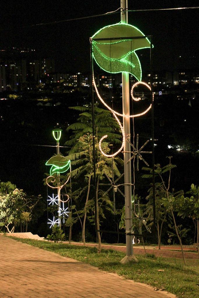 Se prendió la Navidad con un millón de luces
