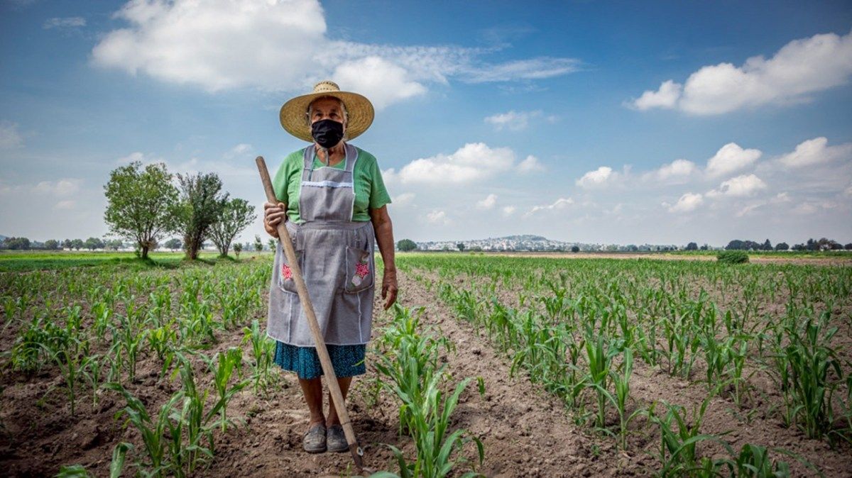 Continúan vigentes los retos para la mujer rural: Igualdad,  justicia y empoderamiento económico