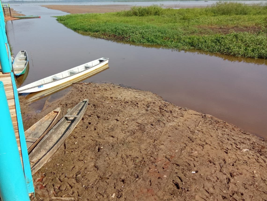 Ambientalistas preocupados por muertes de manatíes y bajo nivel del agua, exigen garantías a Isagen