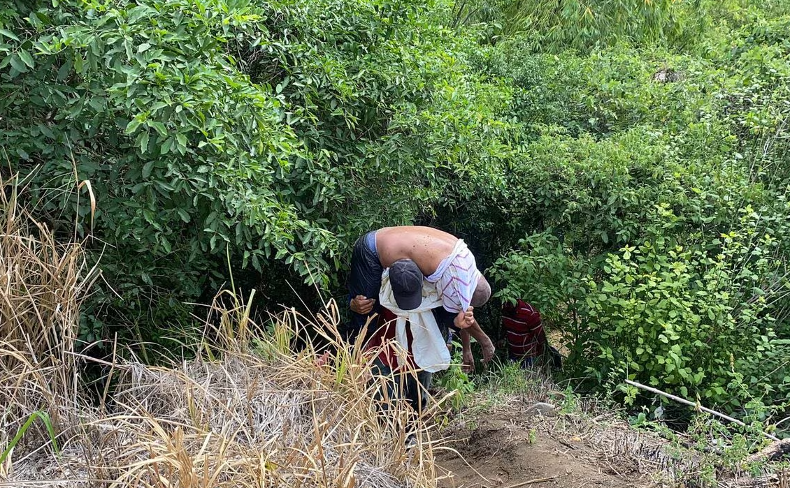 Enjambre de abejas atacó y dejó un muerto y cinco heridos