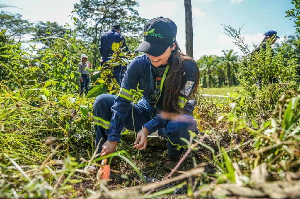 Ecopetrol se destaca entre las tres mejores empresas petroleras en sostenibilidad
