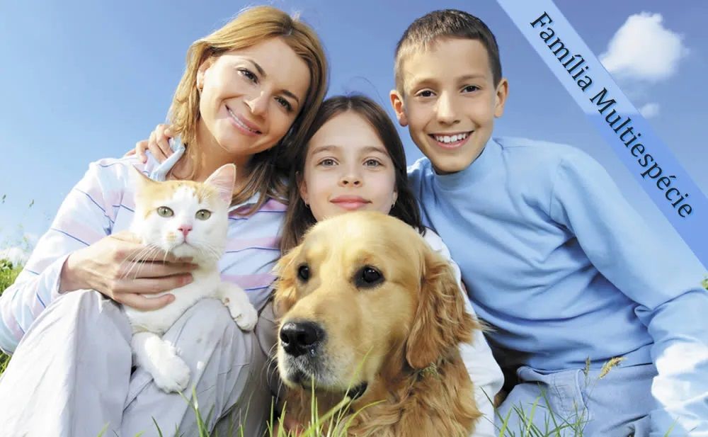 Colombia entró en la onda legal del concepto familias multiespecie