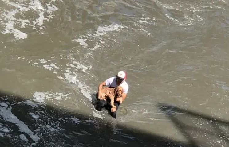 Joven se convierte en héroe al rescatar un perrito ahogándose