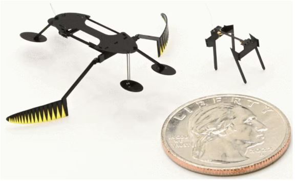 Microrobots serían el futuro de las cirugías
