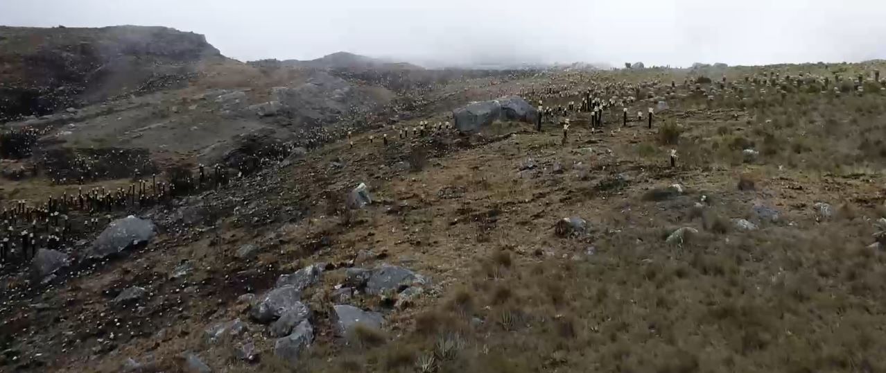 Incendio en el Páramo de Santurbán se mantiene