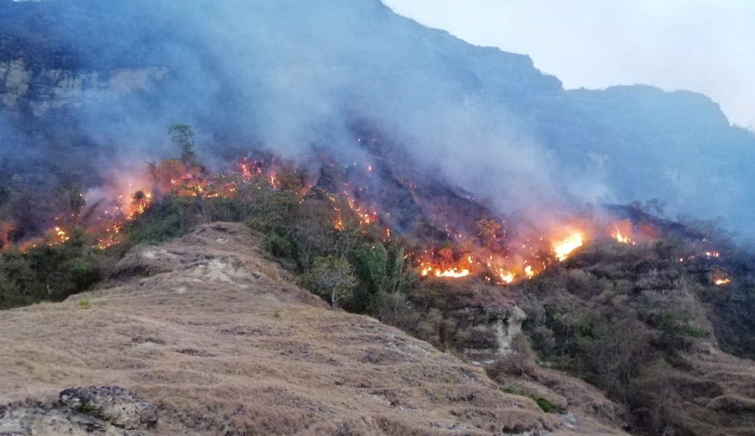 Incendio forestal causa la muerte de un anciano y devasta bosque