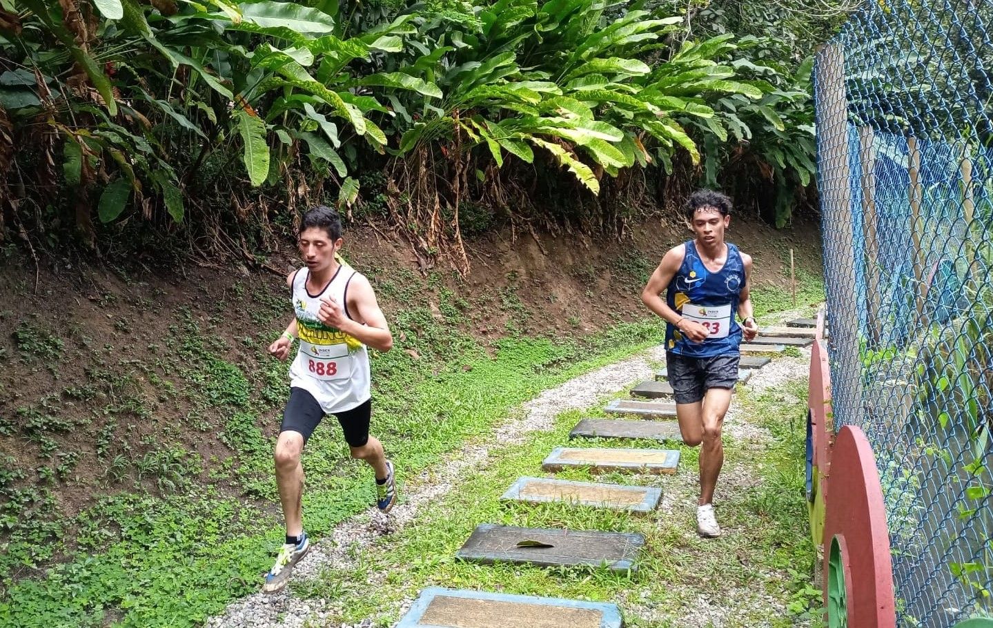 Mas de 200 atletas en Nacional de Cross Country