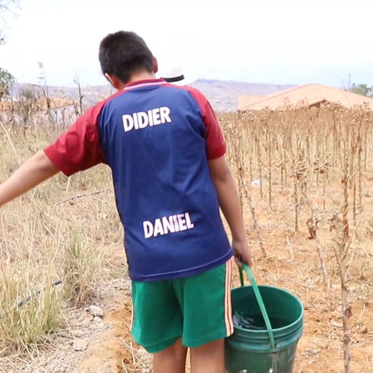 Sequía en 5 municipios de Santander alerta a las autoridades