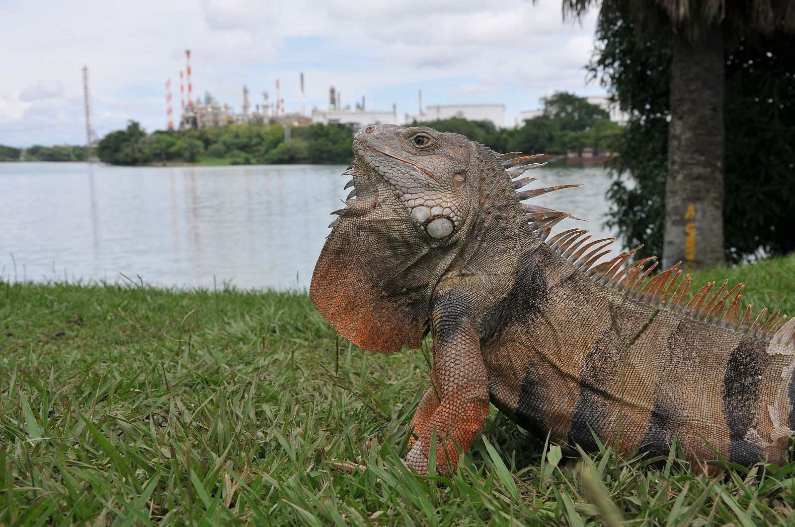 Refinería de Barrancabermeja optimizó reutilización y consumo del agua durante 2023