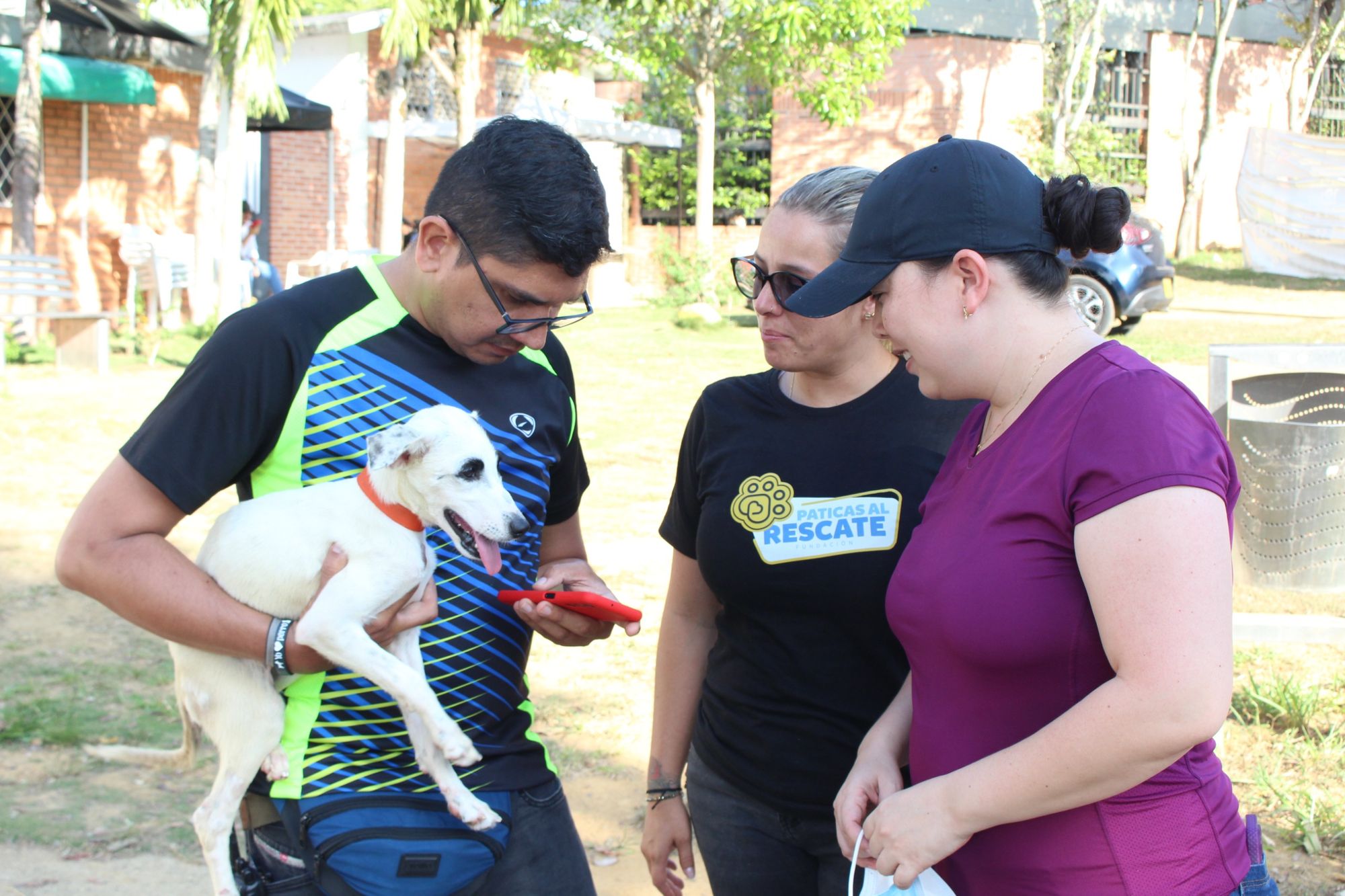 Fundaciones piden patrulla para el rescate de animalitos maltratados en Bucaramanga