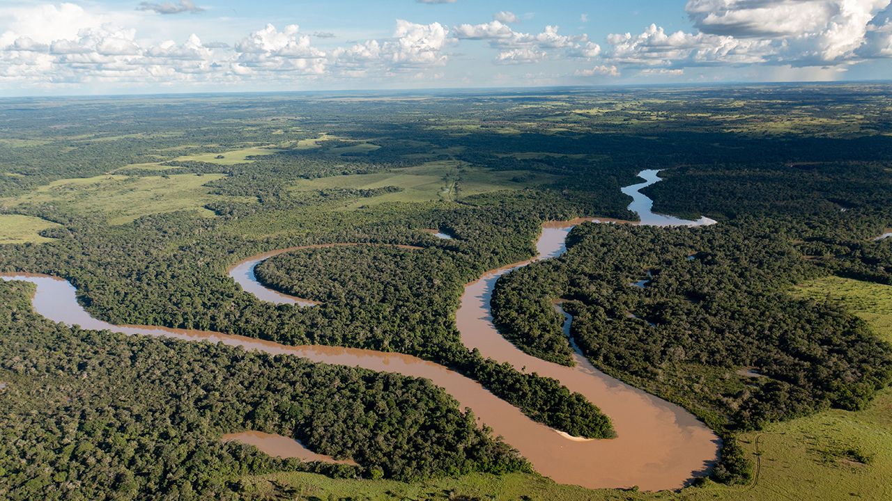 The New York Times destaca declaratoria del Parque Nacional Natural Serranía de Manacacías como área protegida