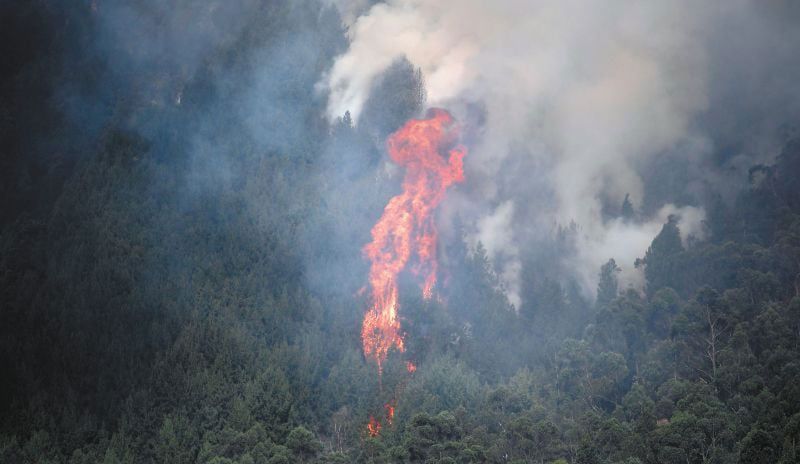Alerta sobre riesgo de incendios en la Amazonía y el Pacífico