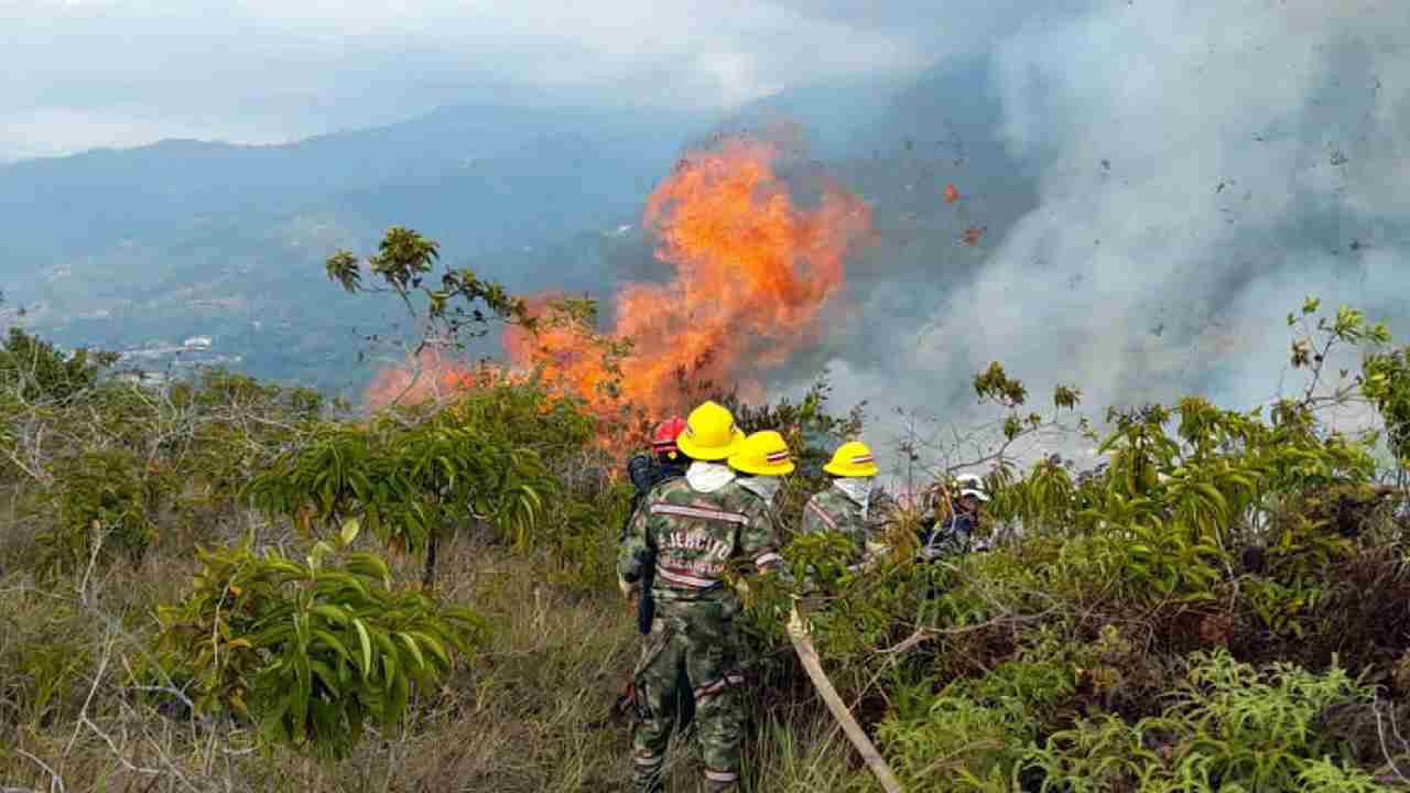 Frente unificado para atender incendios forestales con 20.800 personas en todo el país
