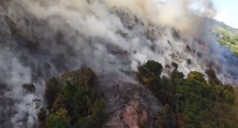 Bomberos atienden emergencia por incendio forestal en cercanías de Ruitoque