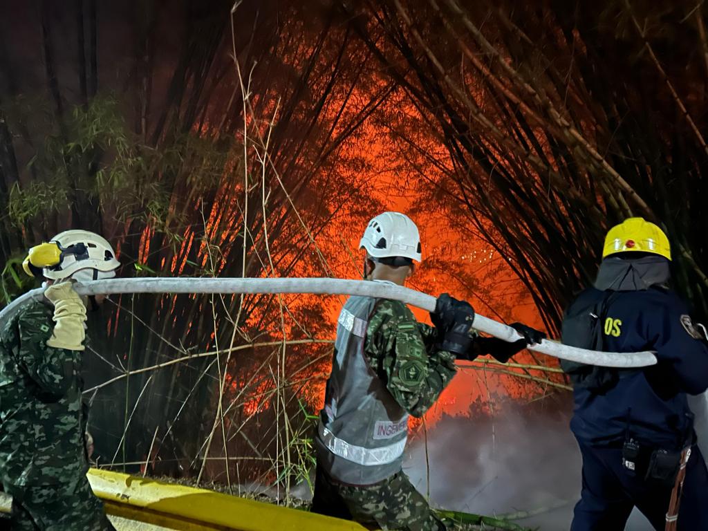 Expertos ambientales evaluarán la zona devastada por incendio