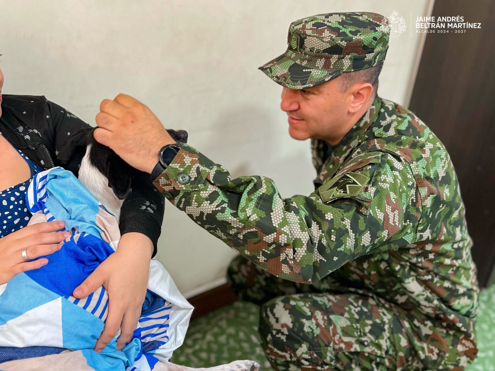 Ejército aportará dinero para la recuperación de la perrita atropellada por patrulla