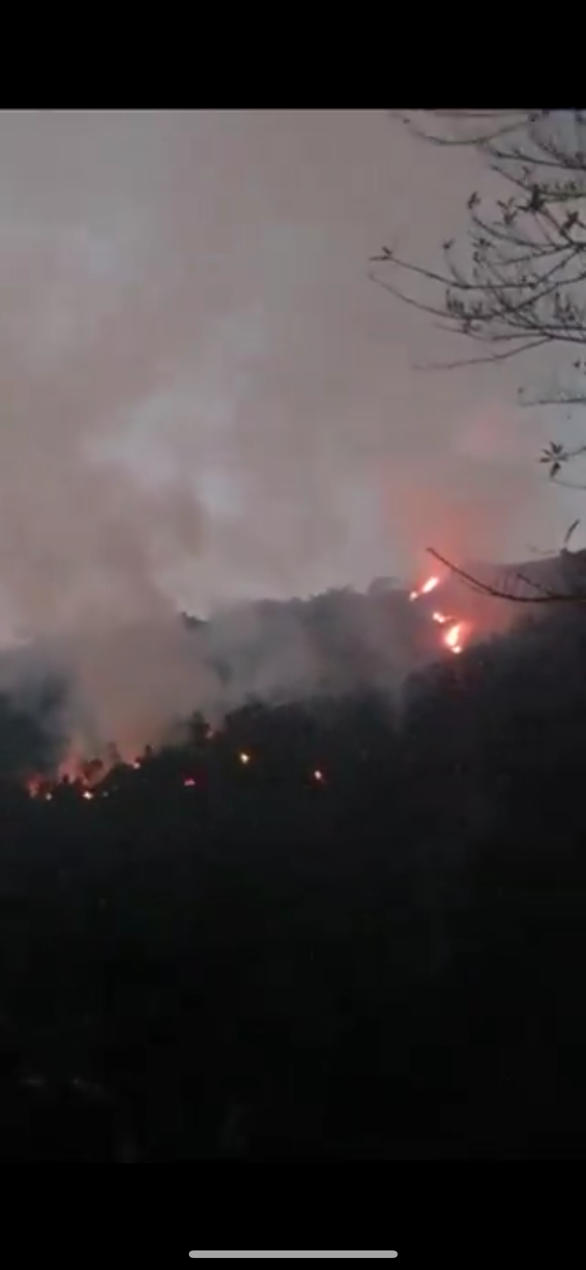 Incendio consumió 10 hectáreas en el Playón