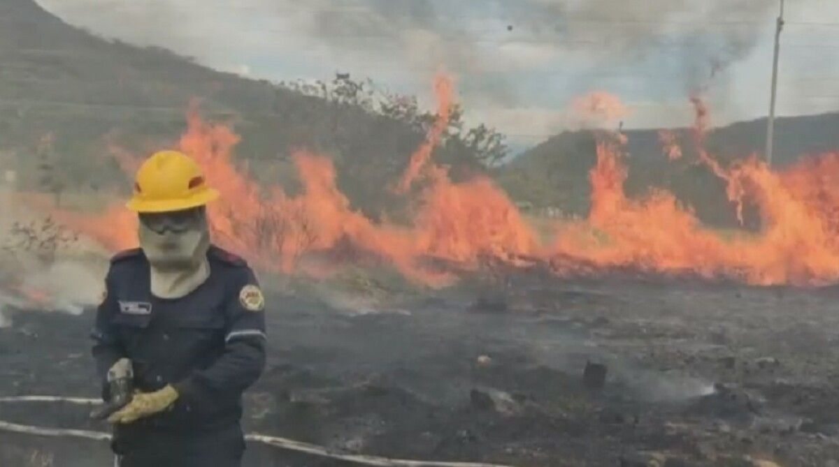 Recuperación inmediata de lugares afectados por incendio forestales anunció Jaime Beltrán