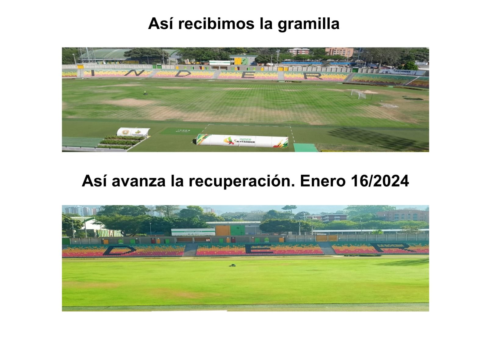 Indersantander anuncia progresos en la recuperación de la gramilla del Estadio Alfonso López