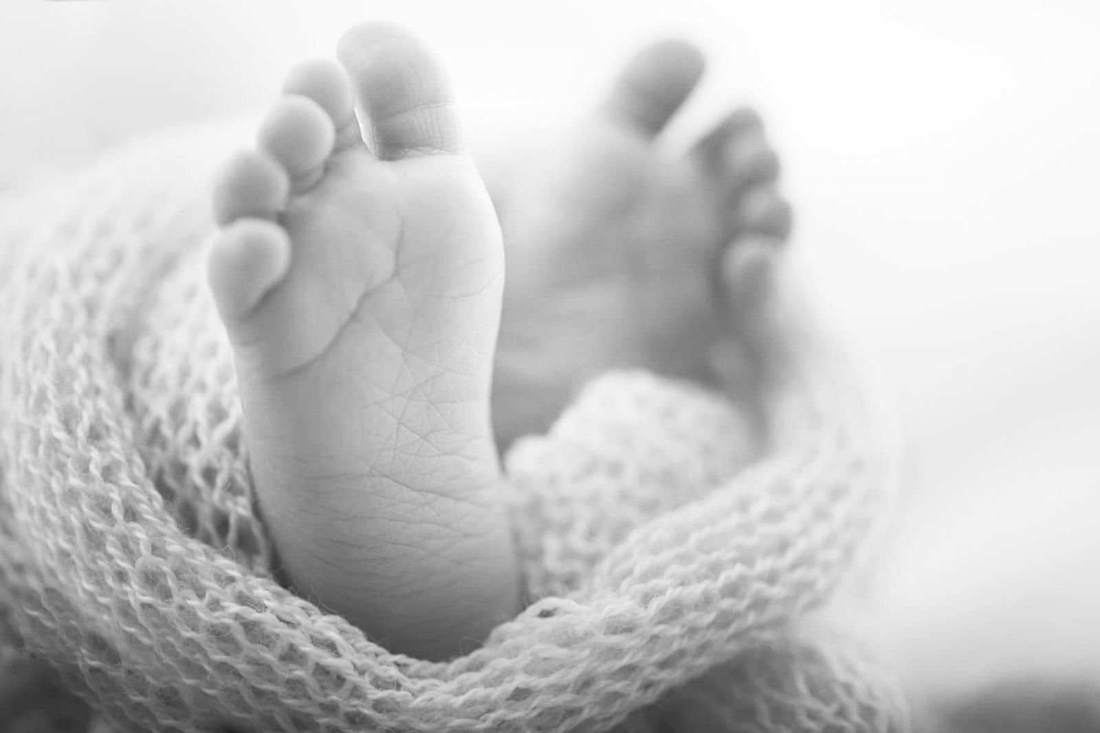 Vecinos descubren restos de una bebé tras rastreo de perros