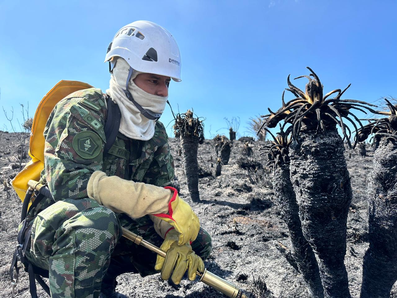 Incendio en Santurbán fue controlado en un 100%